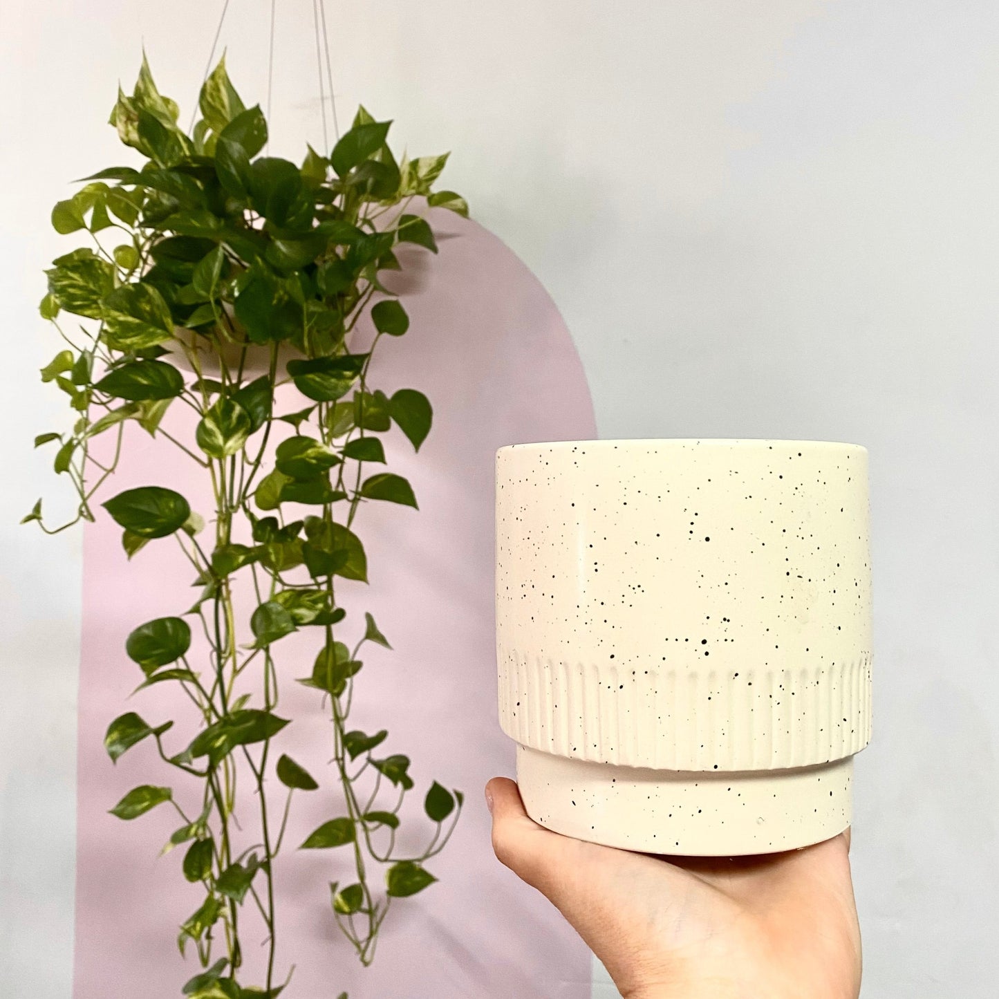 Deboss Ceramic Pot