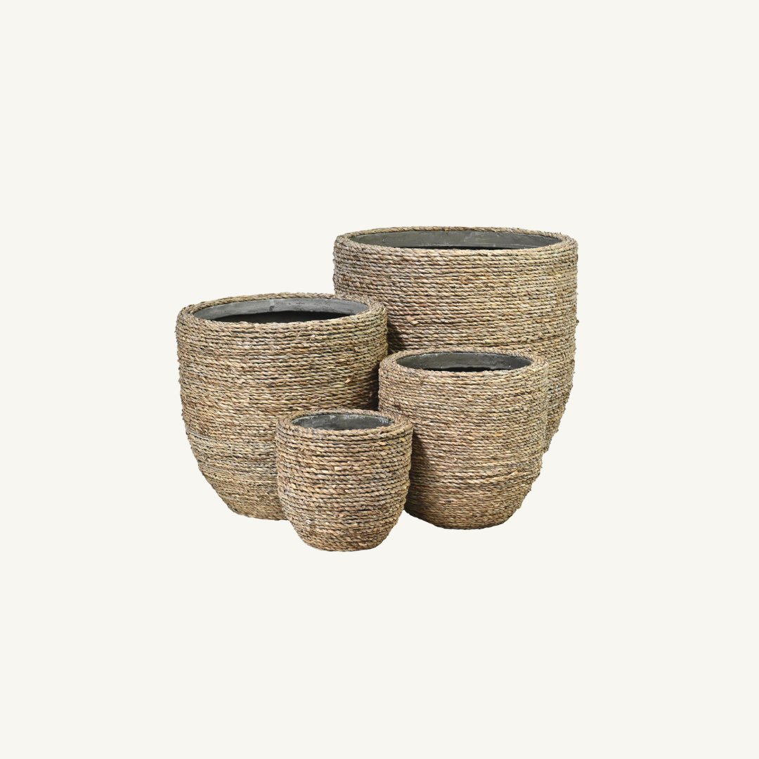 Urban Grass Pot