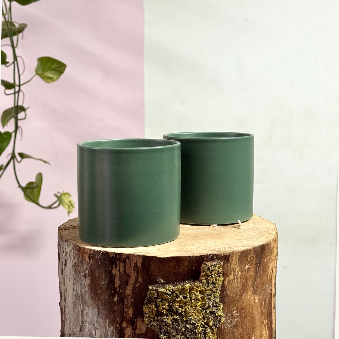 Ceramic Cylindrical Pot - Green