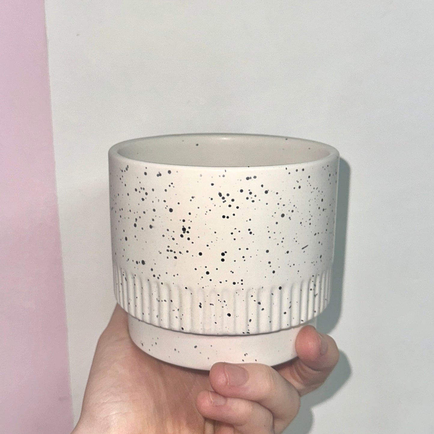 Orchid Pot 10cm