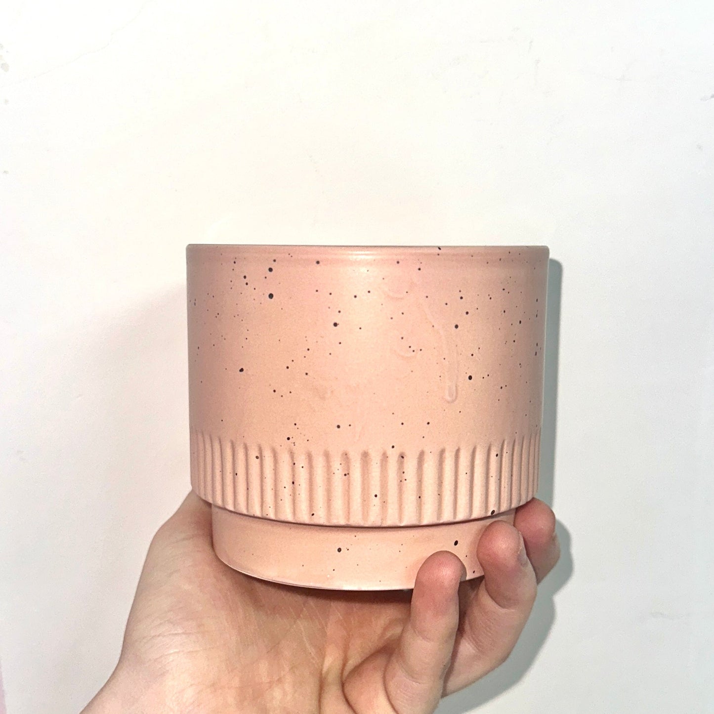 Orchid Pot 10cm
