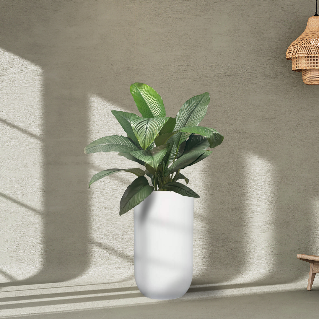 Tall U Planter Pot - White