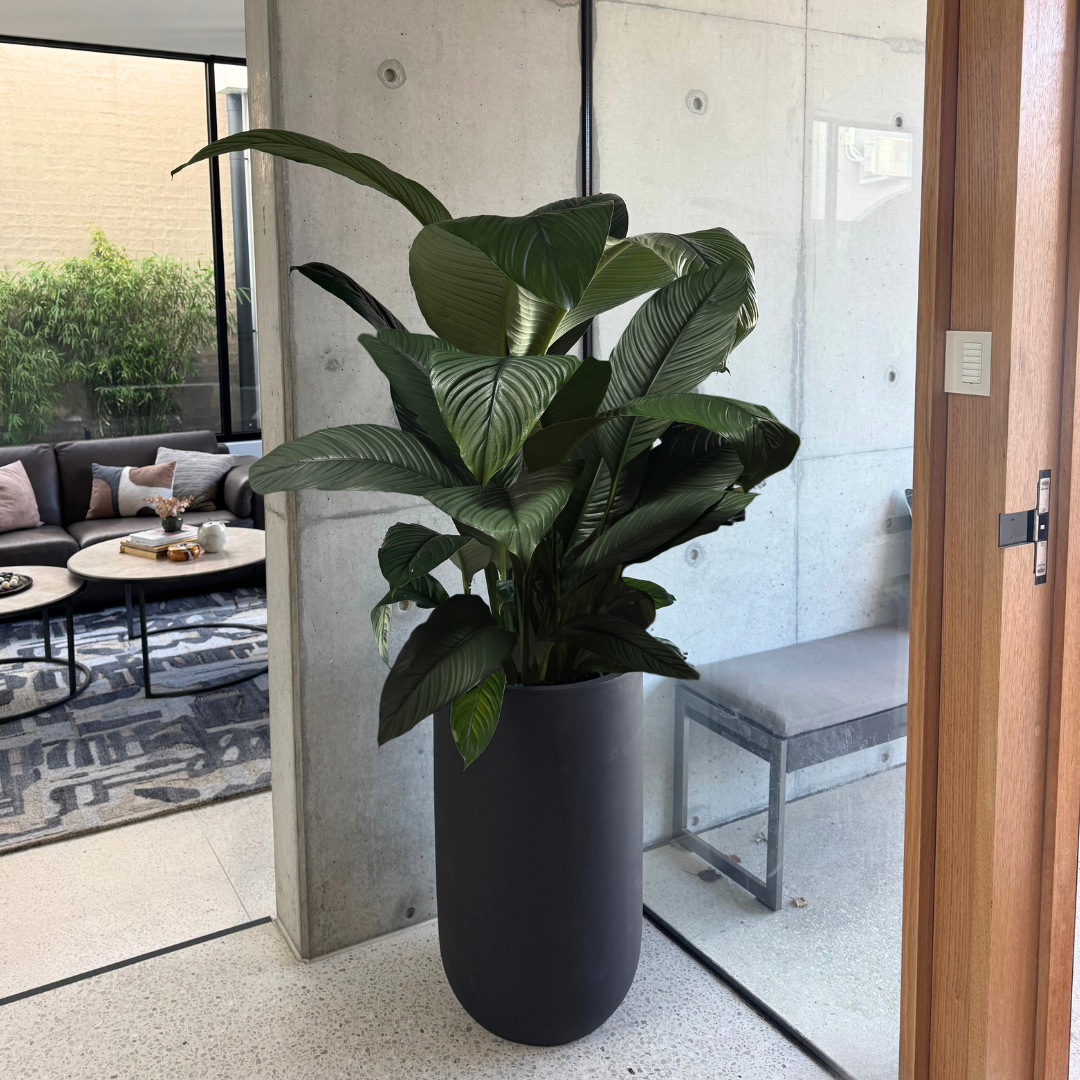 Tall U Planter Pot - Black