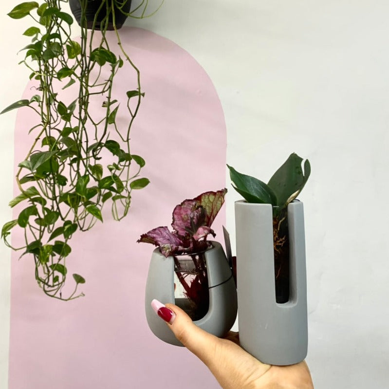 Hydroponic Vessel Concrete