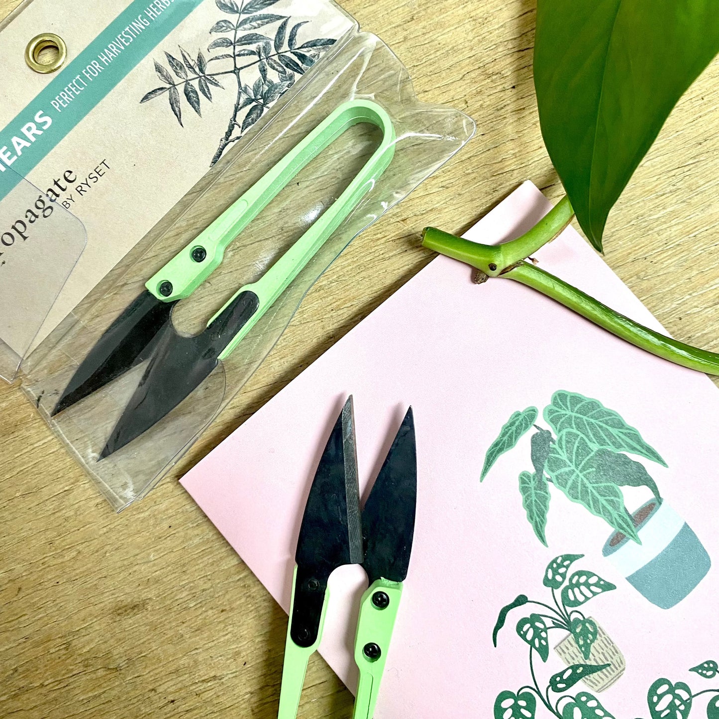 Mini Propagating Shears