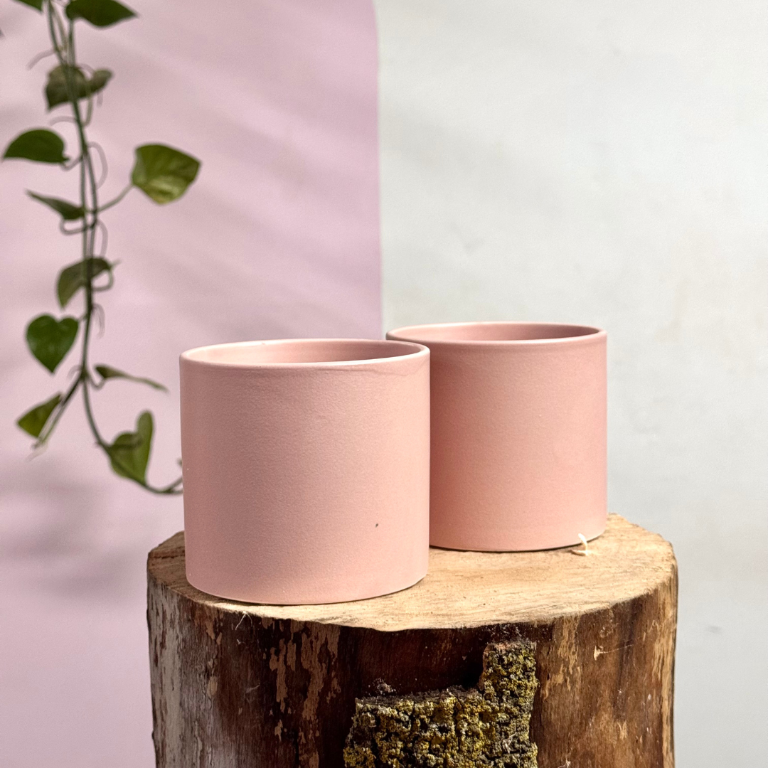pink glazed plant pot Ceramic Cylinder Pot - Soft Pink – Glazed Ceramic Planter
