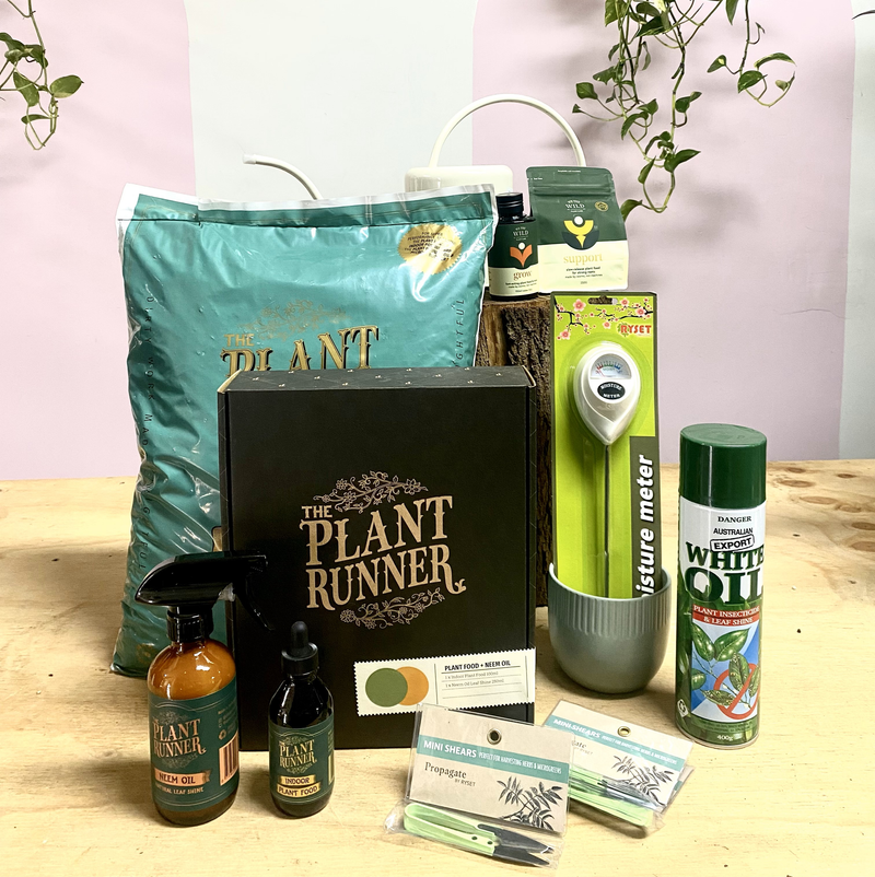 Plant Care & Accessories
