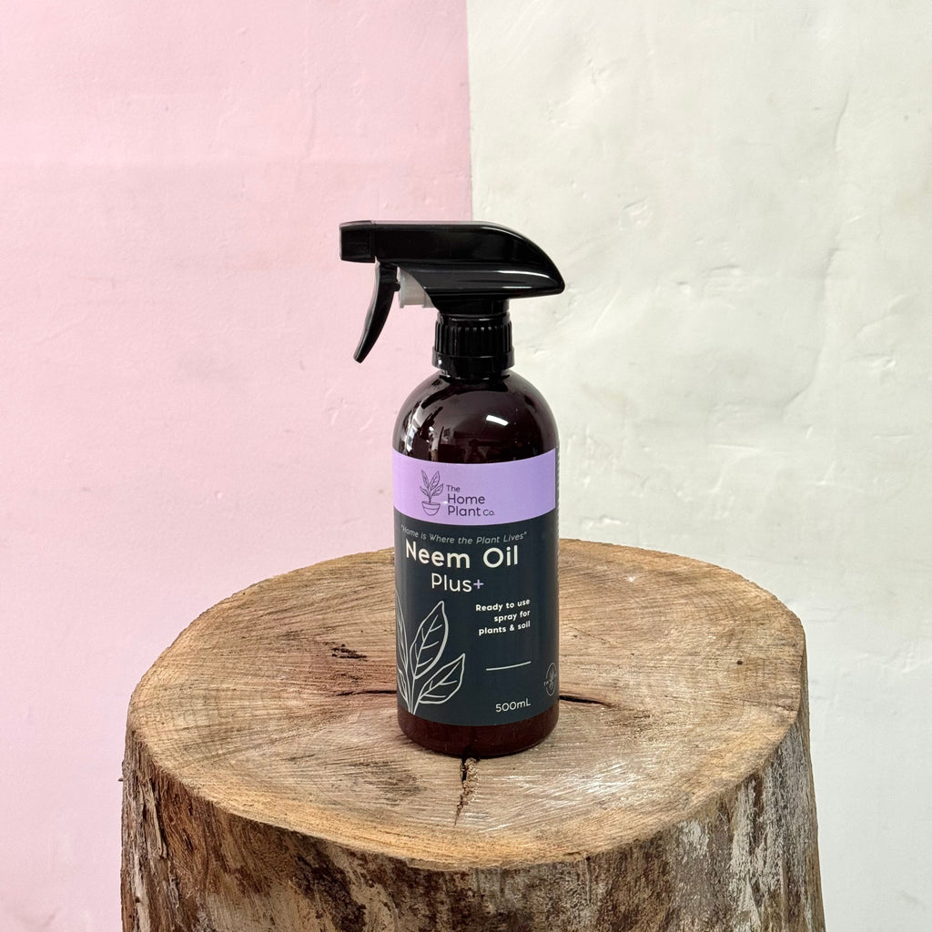 The Home Plant Co – Neem Oil Plus