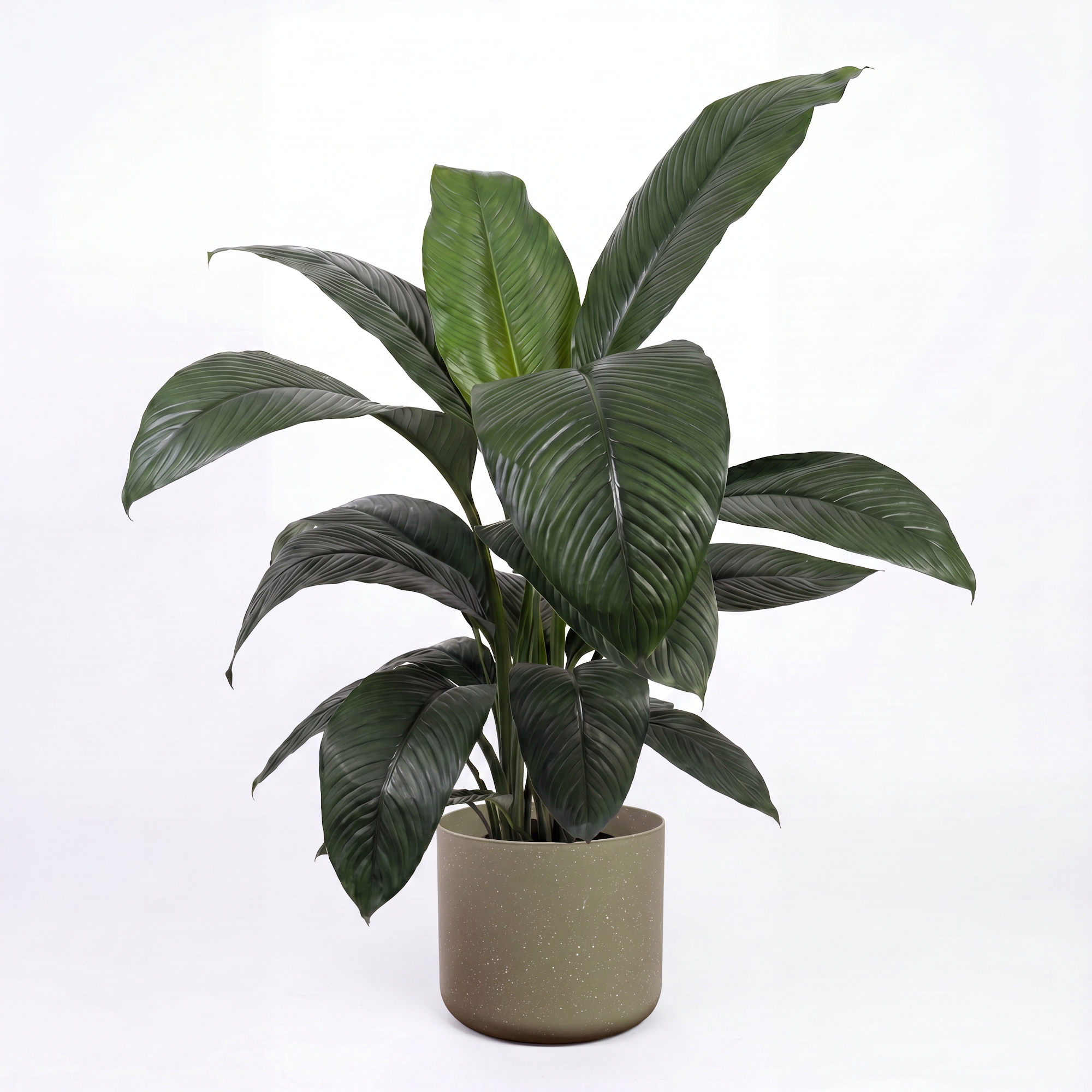 Medium Peace Lily Sensation with Mia Pot - Olive Speckle