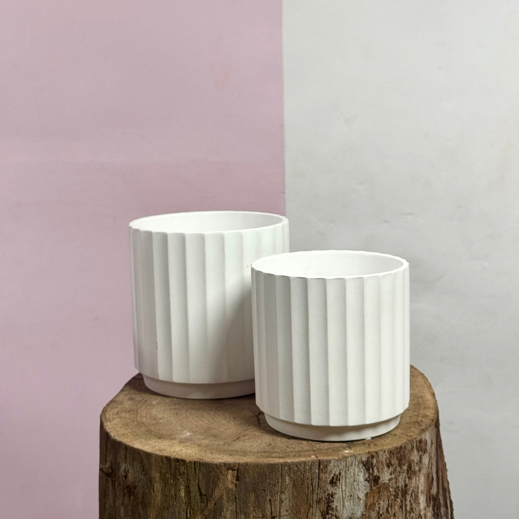 Cedar Pot - White