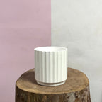 Cedar Pot - White