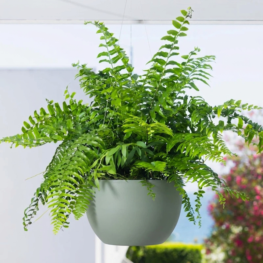 Alder Hanging Planter - Sage