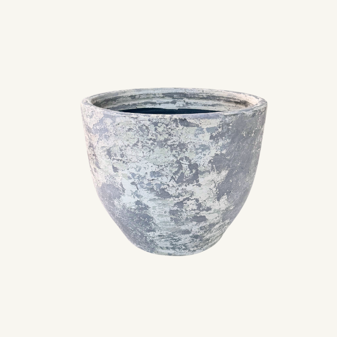 乡村风格石灰水洗花盆 - 古董白