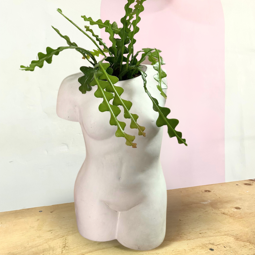 Aphrodite Planter