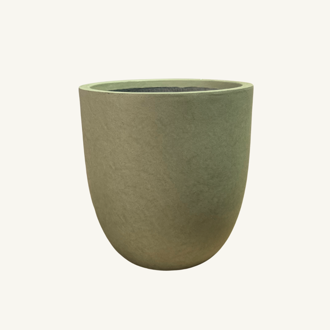 Asher Egg Pot - Green