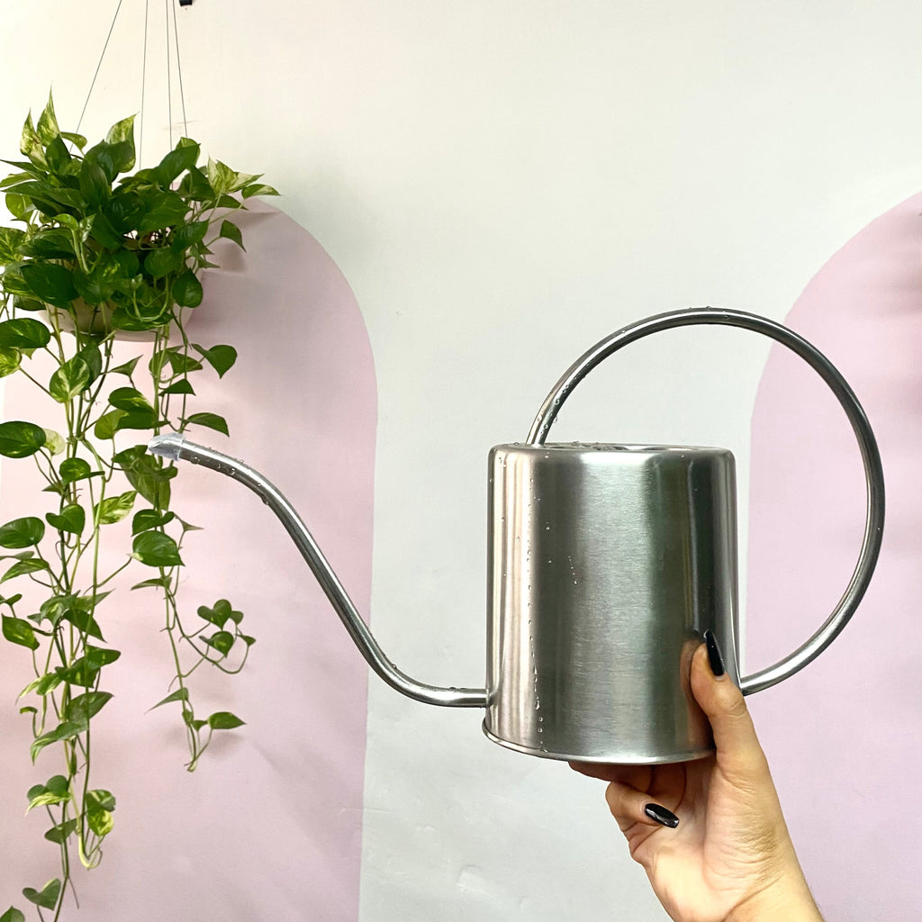 Metal Watering Can
