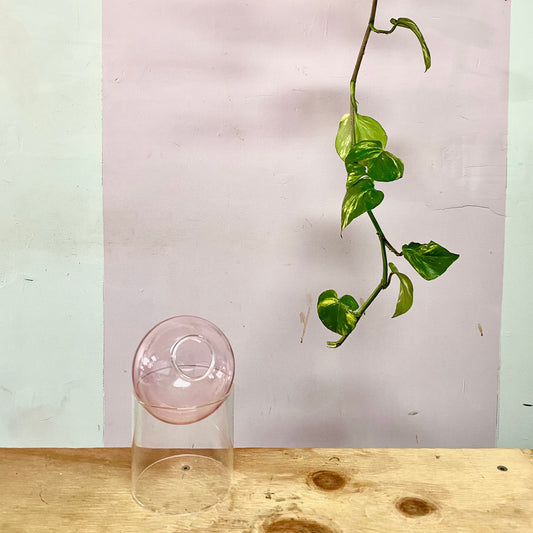 Globe Propogation Vase