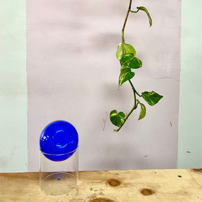 Globe Propogation Vase