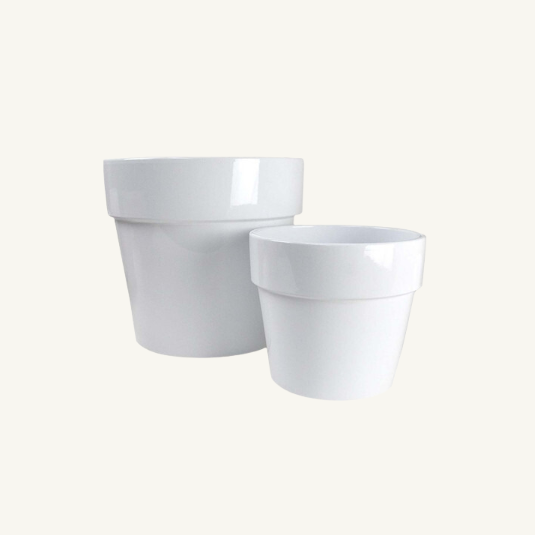 Calima Pot - White – Ceramic Planter | Green Envy – Green Envy Indoor ...