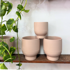 Candy Pot