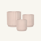 Cedar Pot - Clay