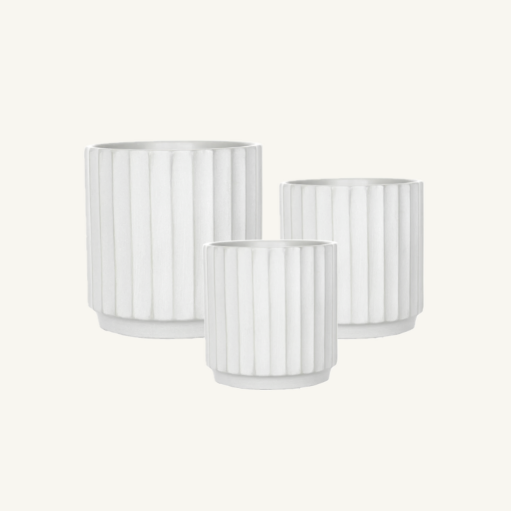 Cedar Pot - White