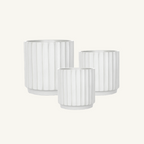 Cedar Pot - White