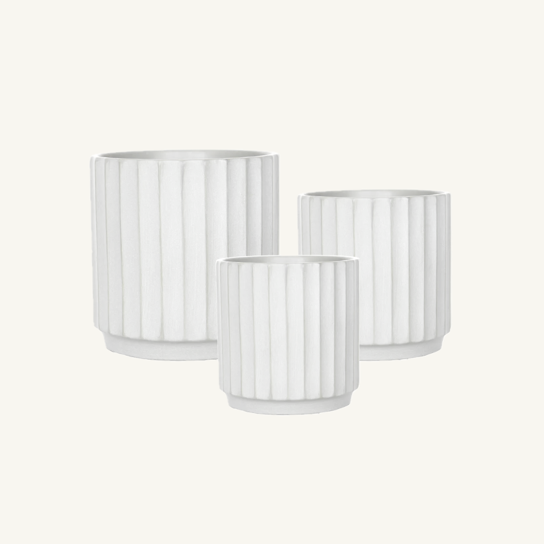 Cedar Pot - White