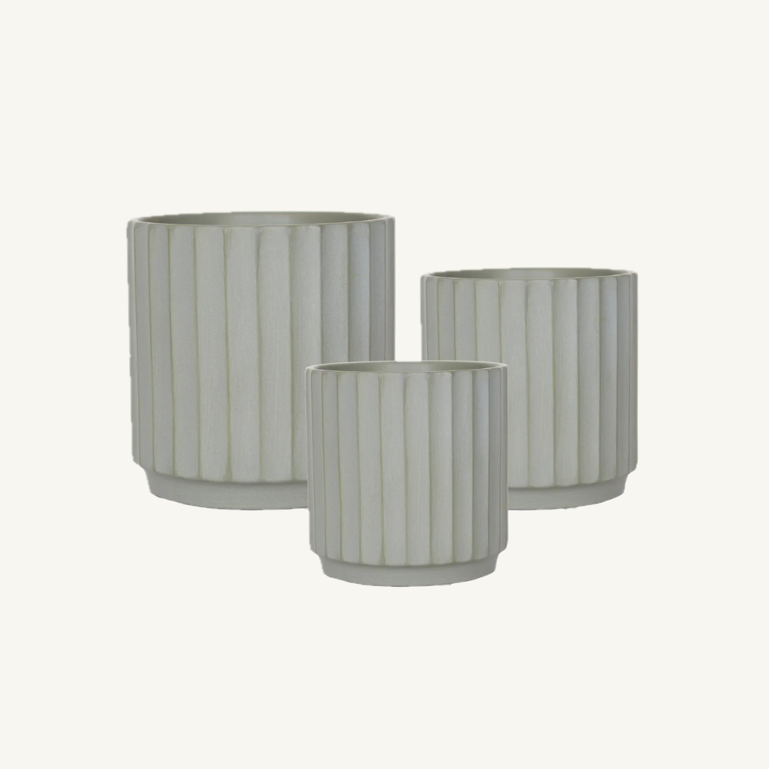 Cedar Pot - Sage