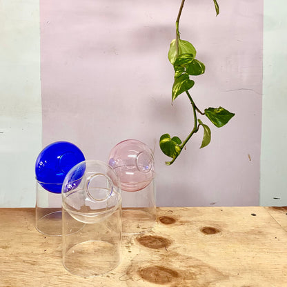 Globe Propogation Vase