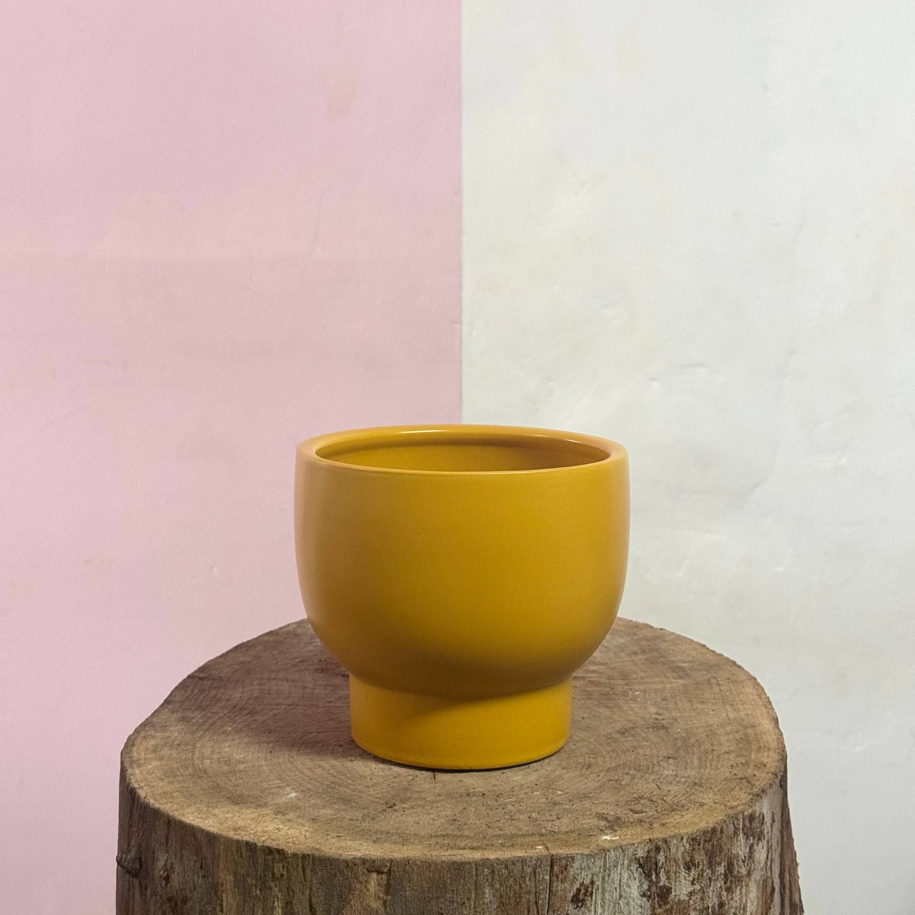 Buffalo Pot - Mustard