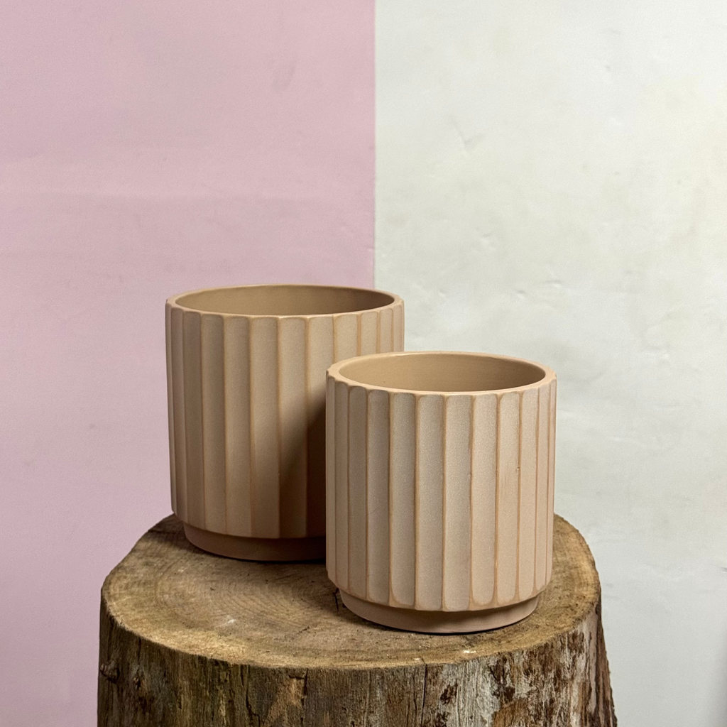 Cedar Pot - Clay