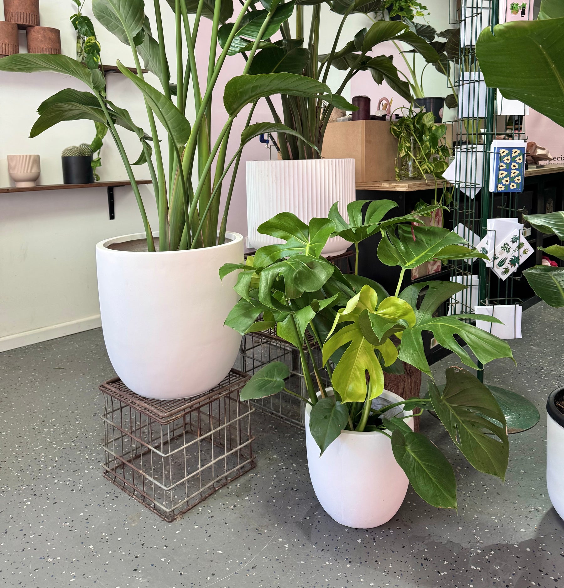 Asher Egg Pot - White – showing pot detail and finish