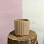 Cedar Pot - Clay