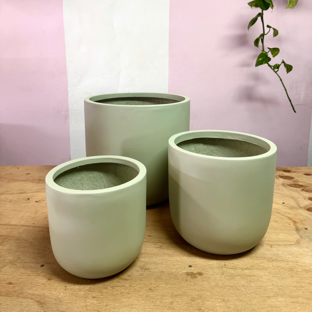 冬季鸡蛋罐 - 薄荷