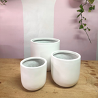 冬季鸡蛋罐-白色