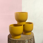 Buffalo Pot - Mustard