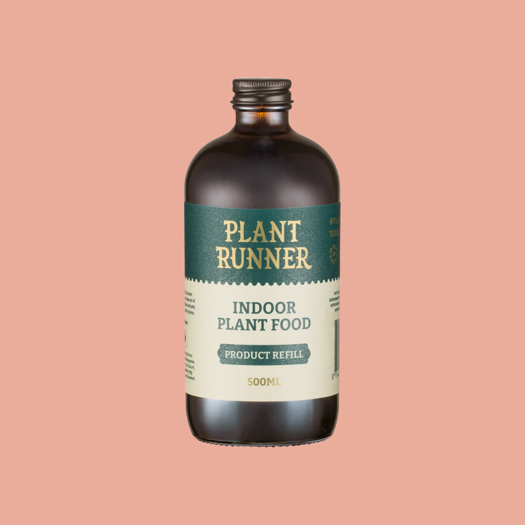 Plant Runner - Indoor Plant Food