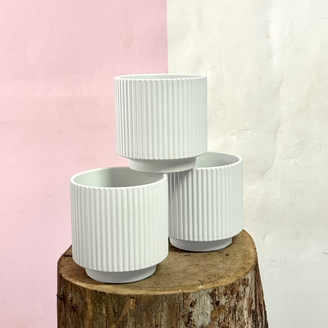 Mykonos Pot - White