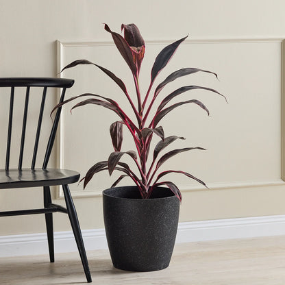 San Remo Pot - Black Terrazzo