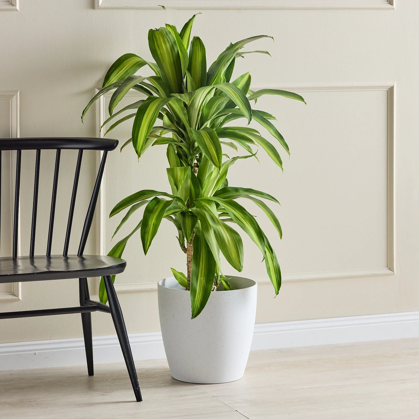San Remo Pot - White Terrazzo