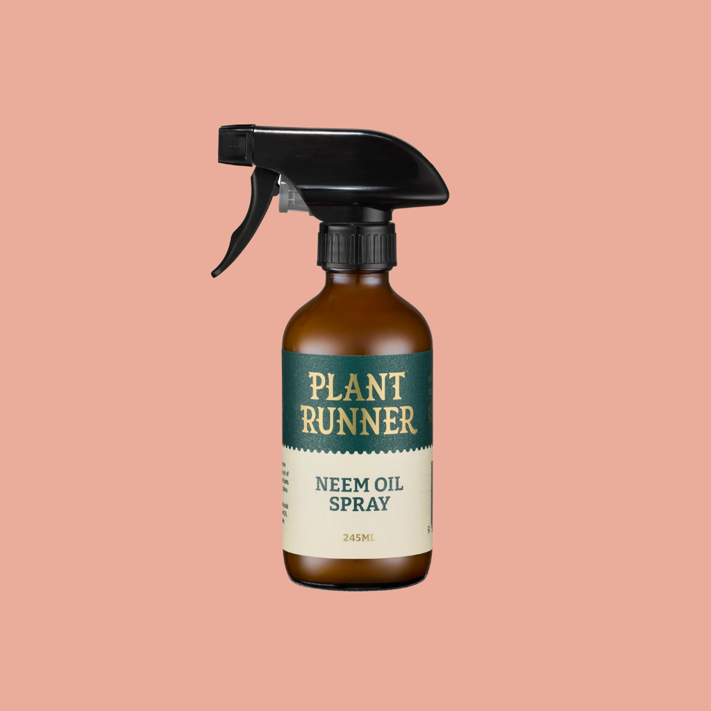 Plant Runner - Neem Oil
