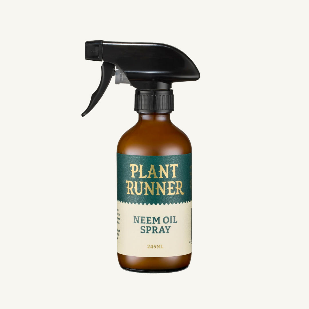 Plant Runner - Neem Oil
