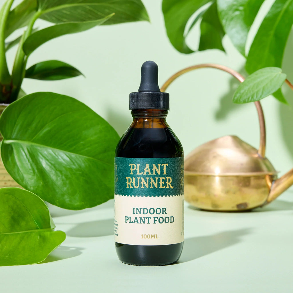 Plant Runner - Indoor Plant Food
