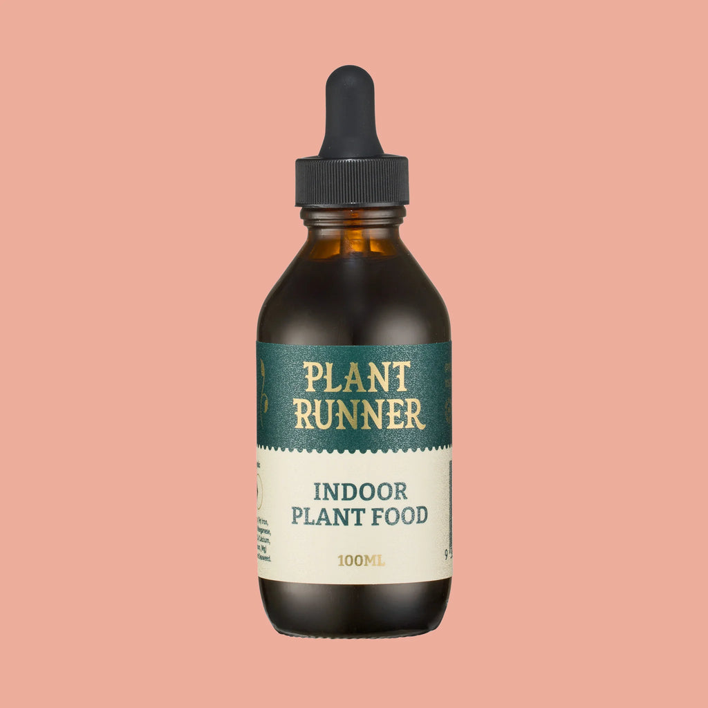 Plant Runner - Indoor Plant Food