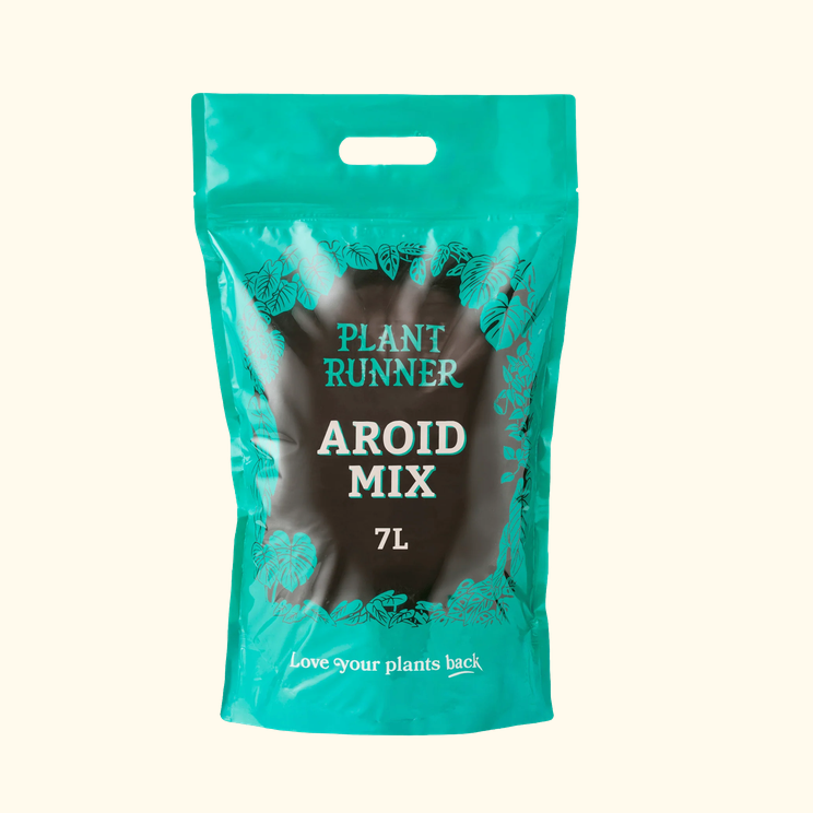 Aroid Potting Mix