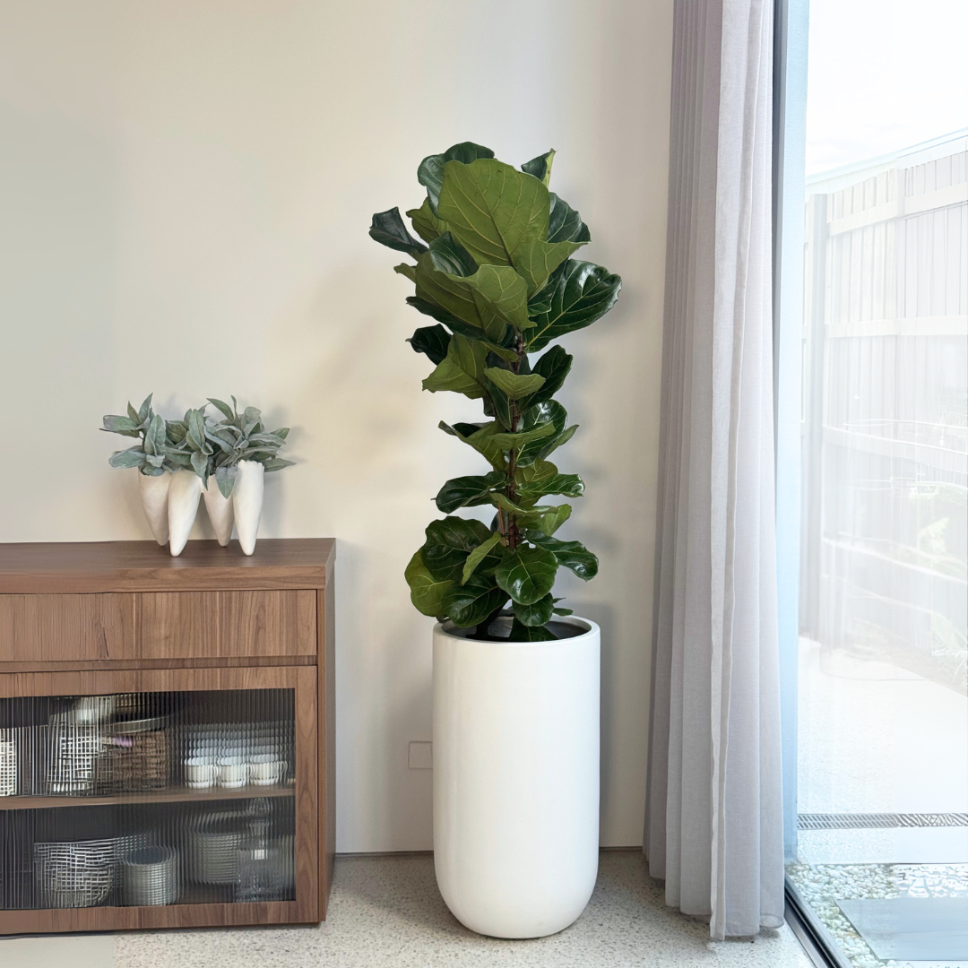 Tall U Planter Pot - White