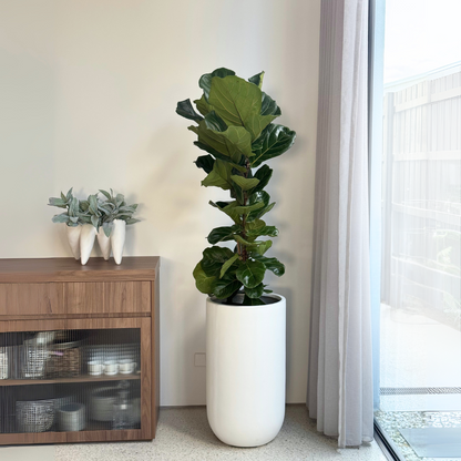 Tall U Planter Pot - White