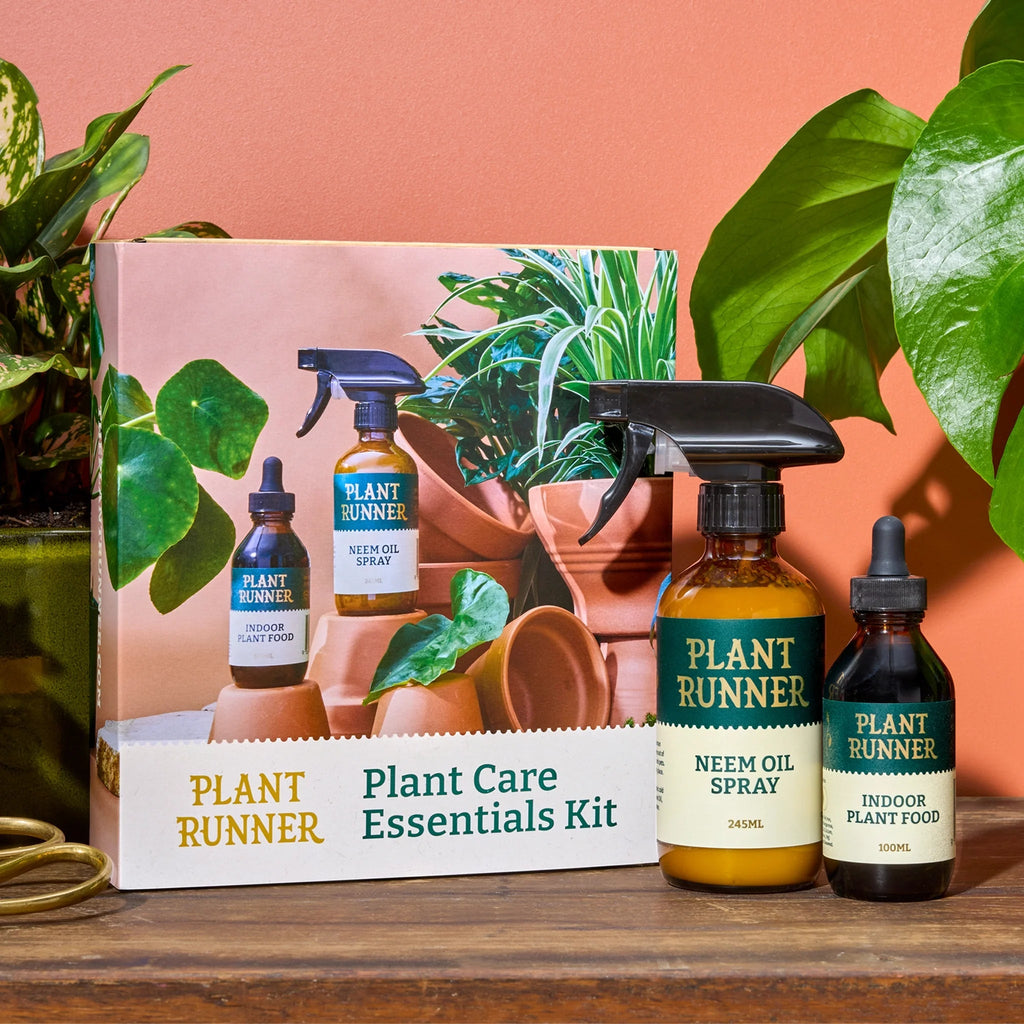 Plant Runner - Plant Care Essentials Kit Green Envy Indoor Plants
