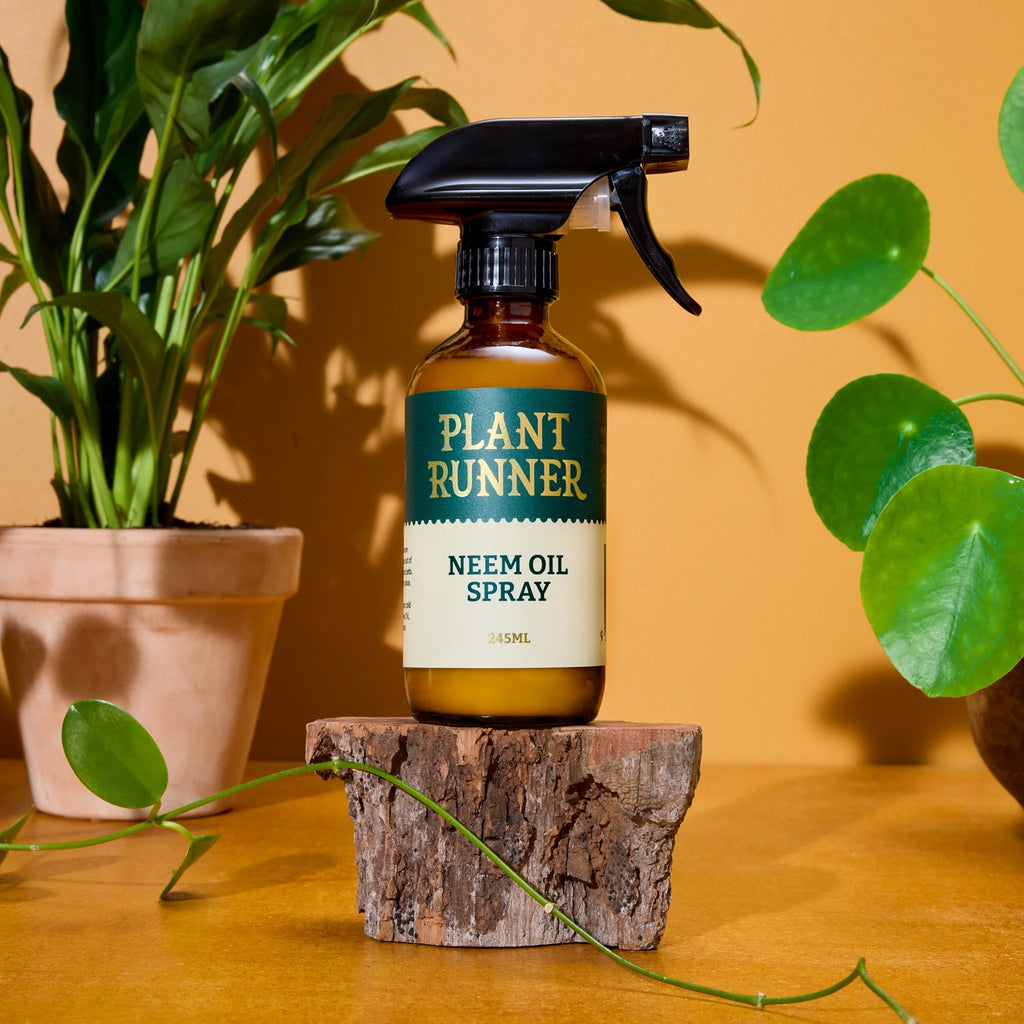 Plant Runner - Neem Oil